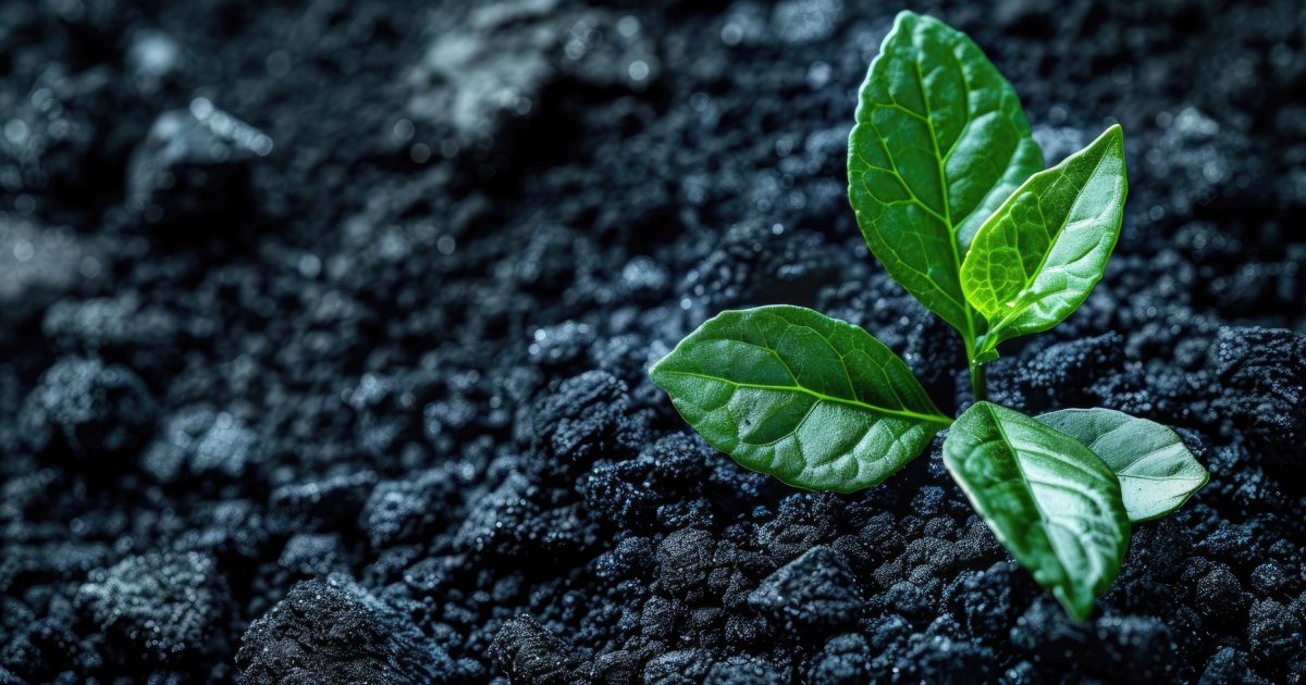 OpenGraph Image for Synergie Environ appointed as system designer for A Healthier Earth’s UK-leading biochar project