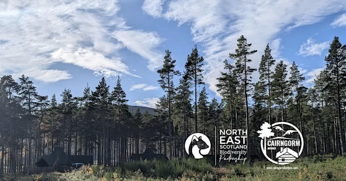 OpenGraph Image for Cairngorm Bothies partners with NESBiP to offer ‘Gift from the Forest’ for biodiversity recovery