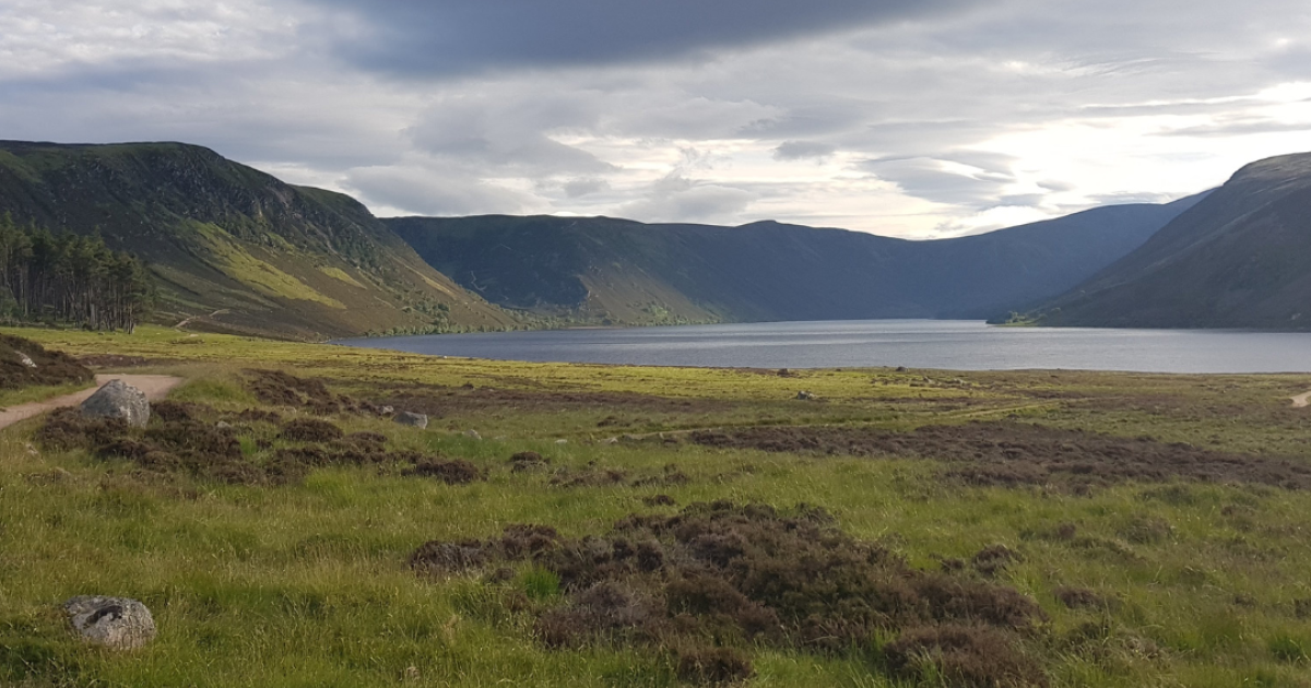 OpenGraph Image for Cairngorm Excursions and Hillgoers introduce guided walking experiences in the Cairngorms