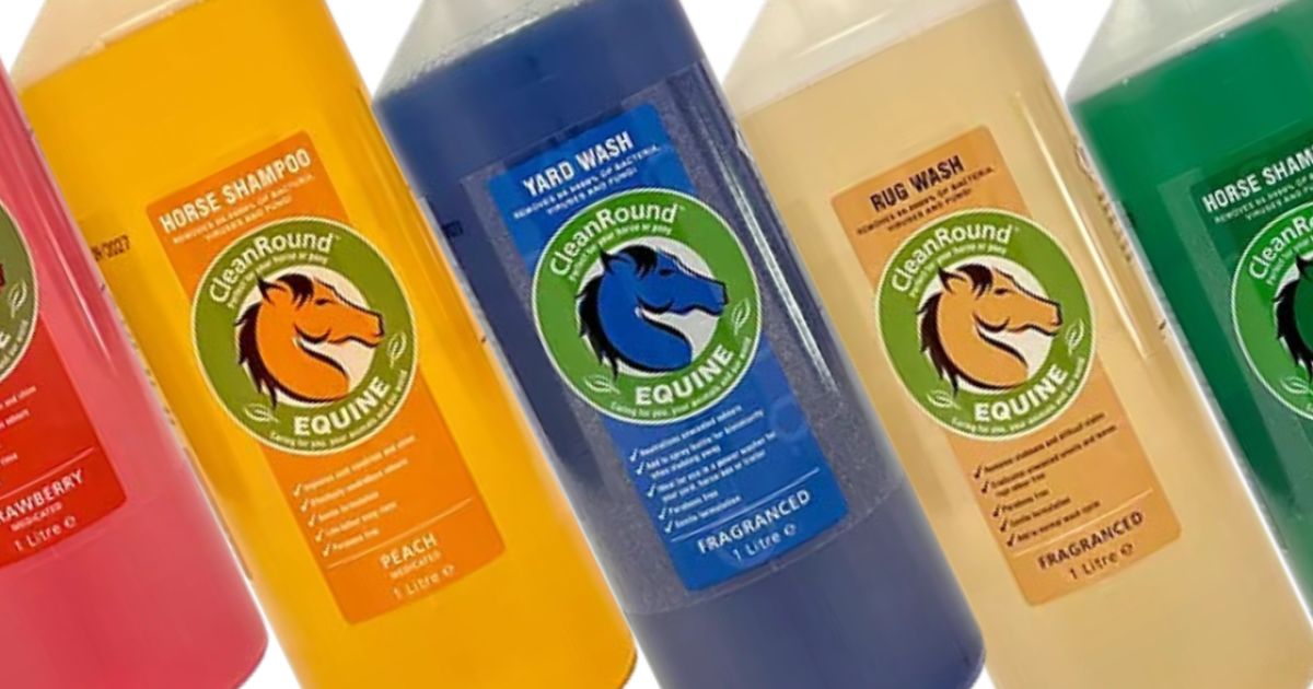 OpenGraph Image for Packed Posted welcomes CleanRound, supporting growth for a new business owner