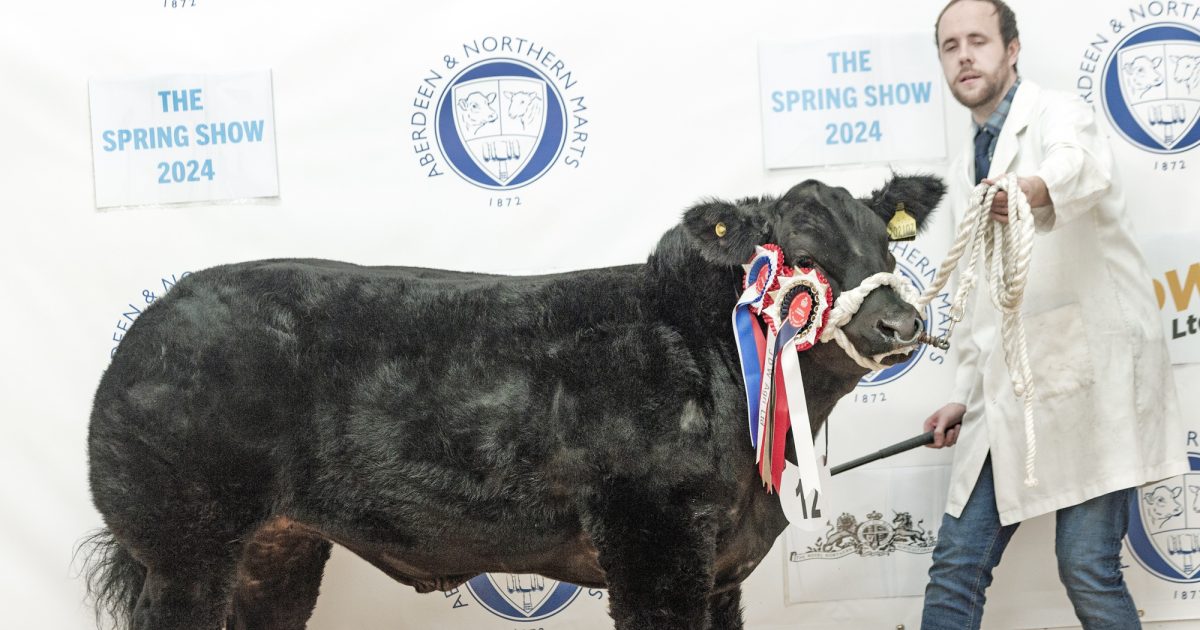 OpenGraph Image for Judges and entries announced ahead of annual RNAS Spring Show