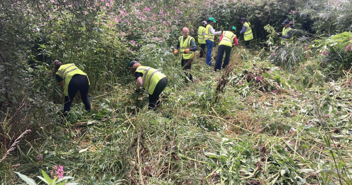 OpenGraph Image for A summer of volunteering on the River Dee