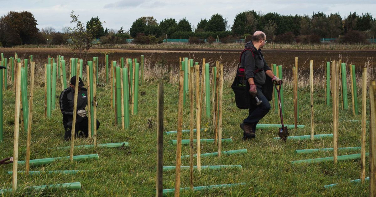 OpenGraph Image for Oilfast Group: Driving sustainability through partnership with Carma