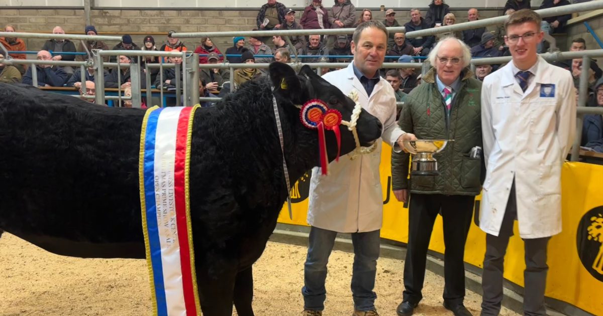 OpenGraph Image for Begg family hail championship at the Caithness Christmas Show for third year running