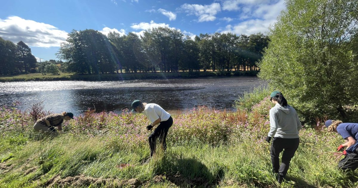 OpenGraph Image for BP volunteers make an impact on the riverbank