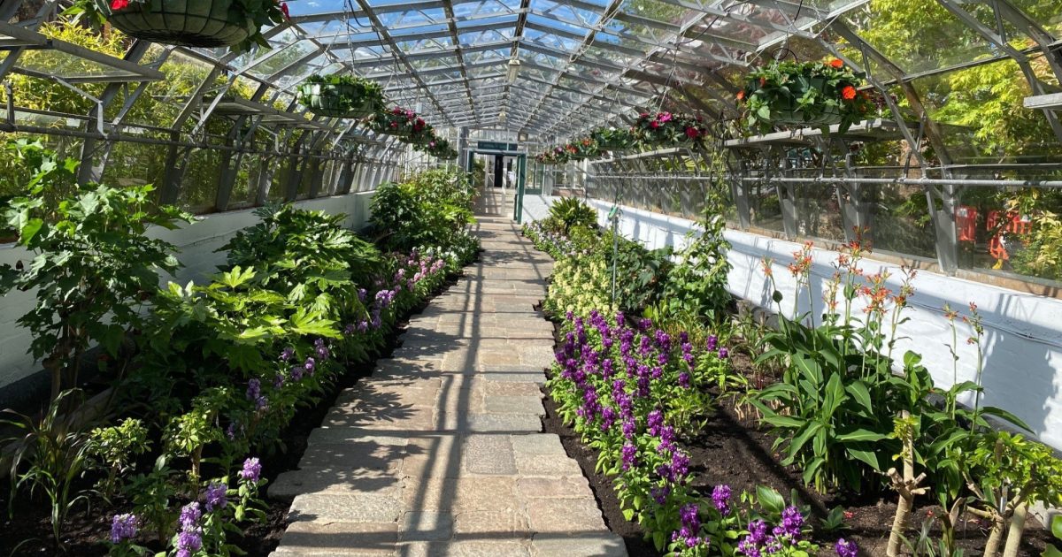 OpenGraph Image for Aberdeen in 2025 Britain in Bloom finals!