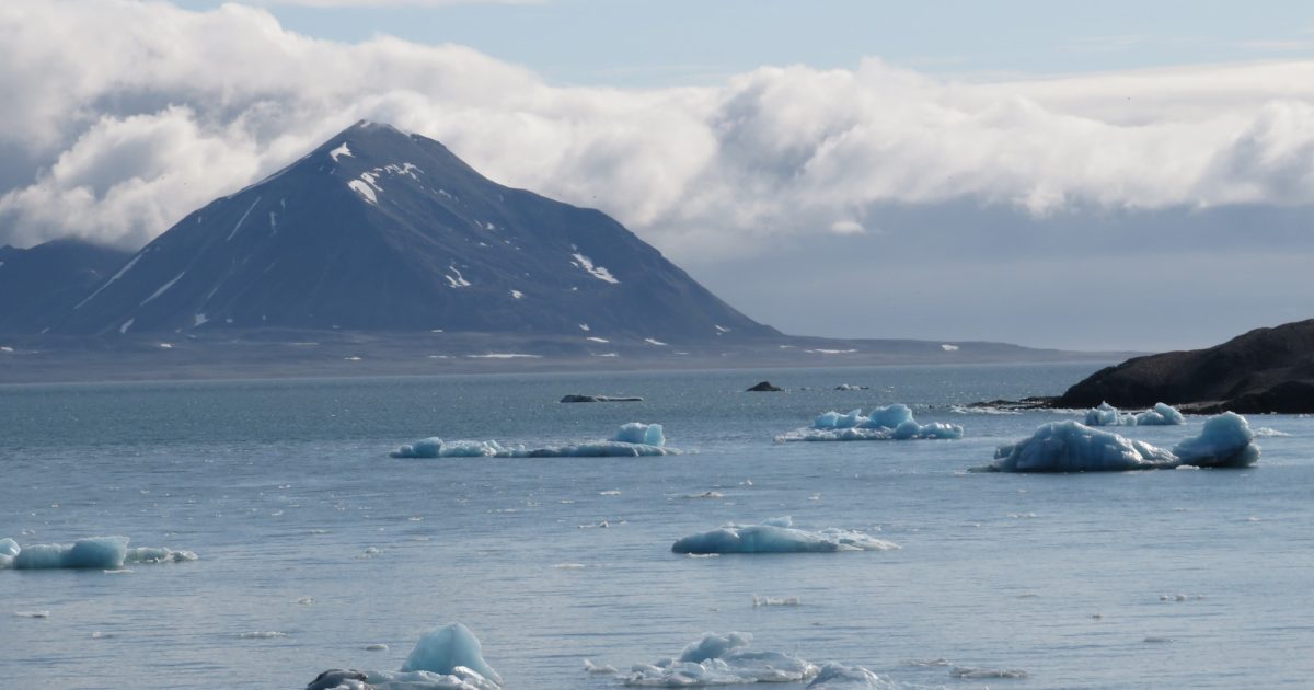 OpenGraph Image for Using AI to digitally twin a climate change frontier