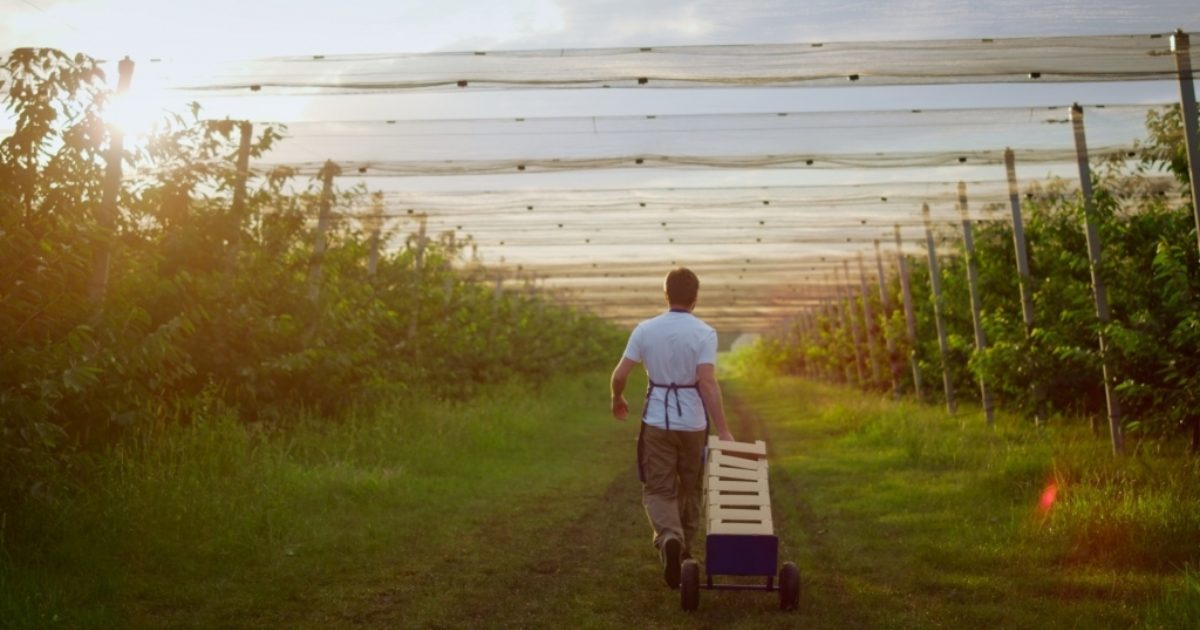 OpenGraph Image for AI and data science project to help food and drink sector lower emissions