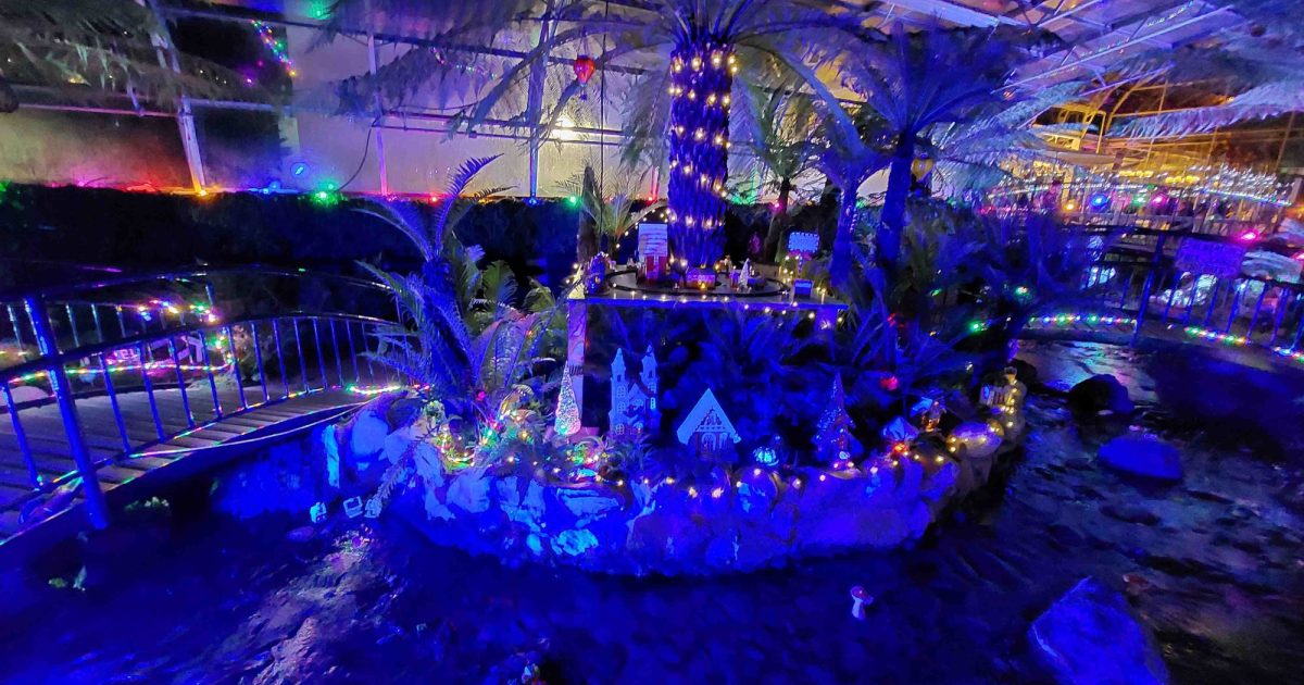 OpenGraph Image for Winter, Wonder, Wander tickets