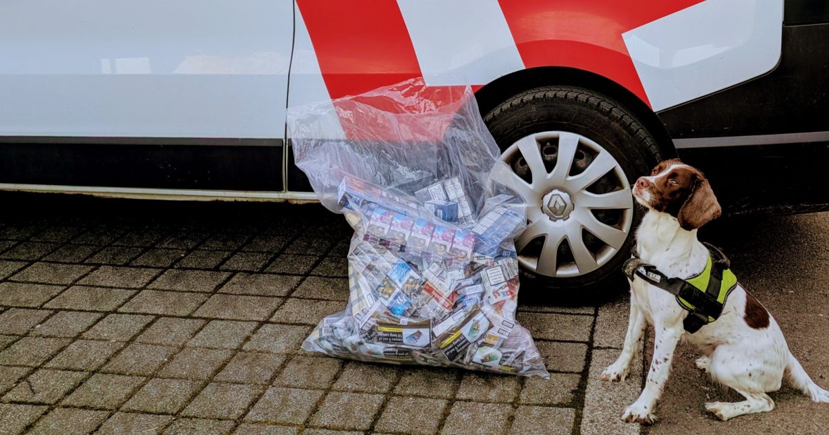 OpenGraph Image for Illegal tobacco and cigarettes seized in Aberdeen