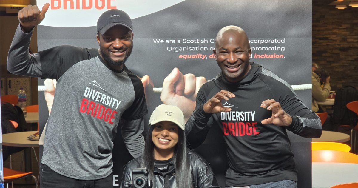 OpenGraph Image for Diversity Bridge SCIO joins the National Digital Inclusion Network