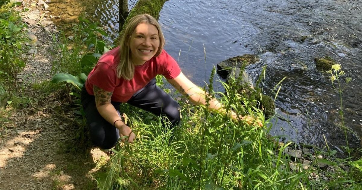 OpenGraph Image for Could a hidden fungus be the future of UK farming?