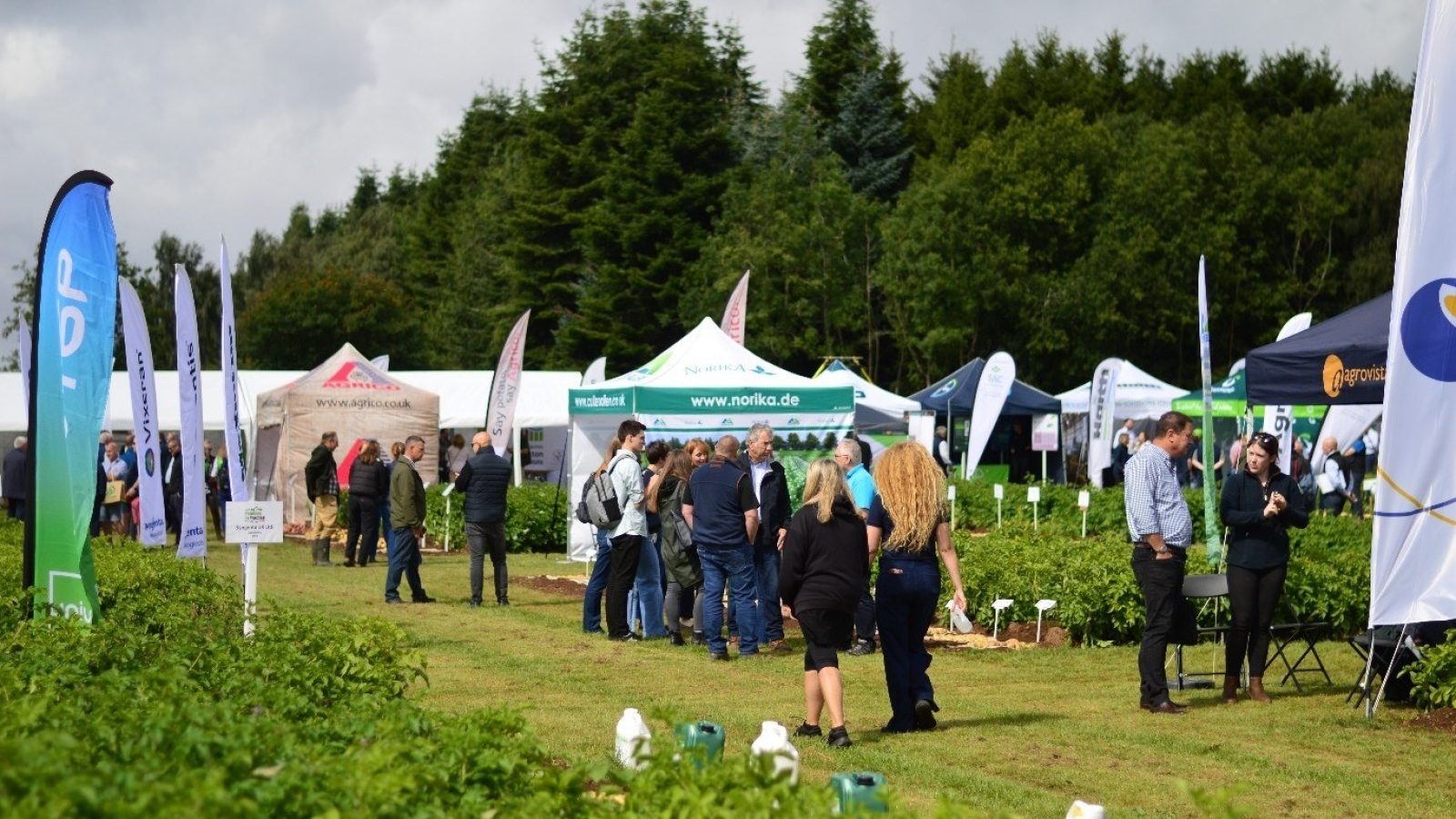 Scotland's leading field-based potato event showcases industry innovation
