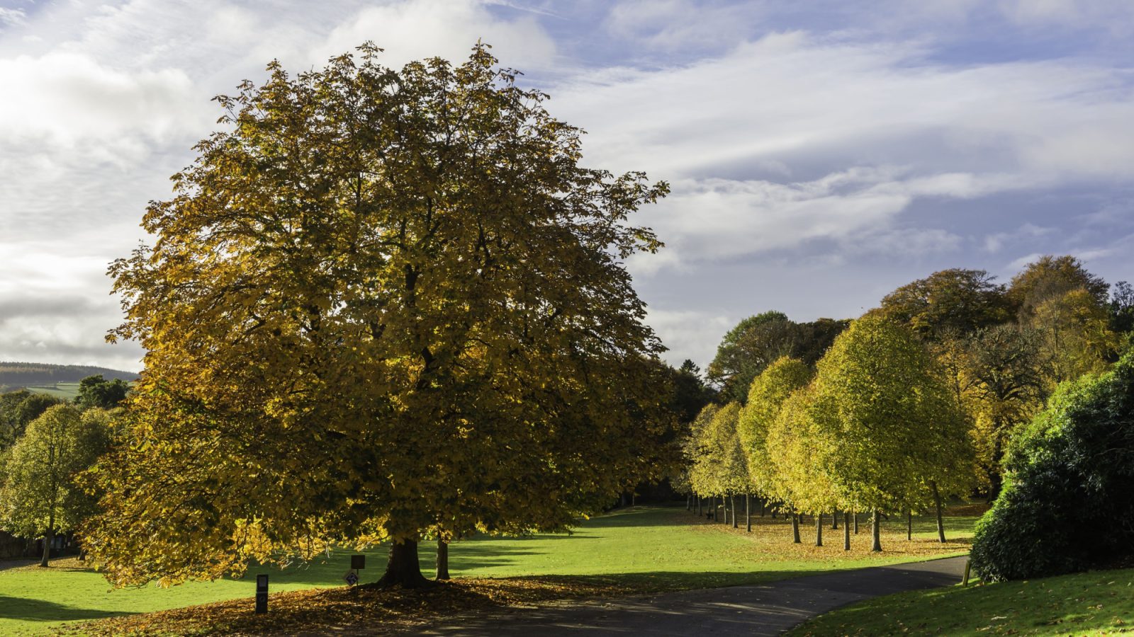 Aberdeenshire Council renews its partnerships with nature conservation organisations