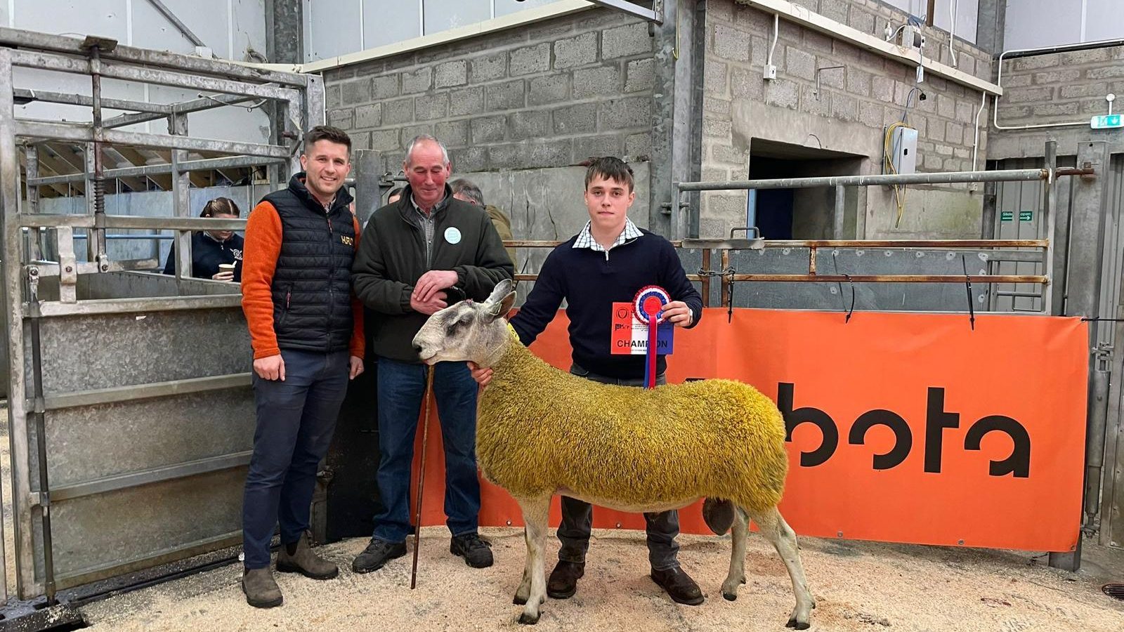 Strong demand and a top price of £6,000 achieved at Caithness Ram Fair
