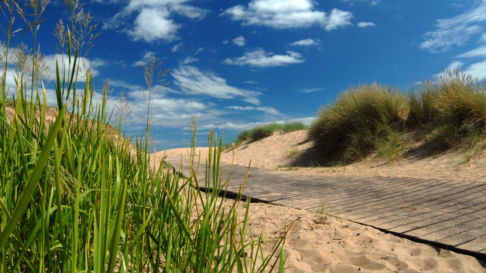 Views sought on future of Balmedie Country Park