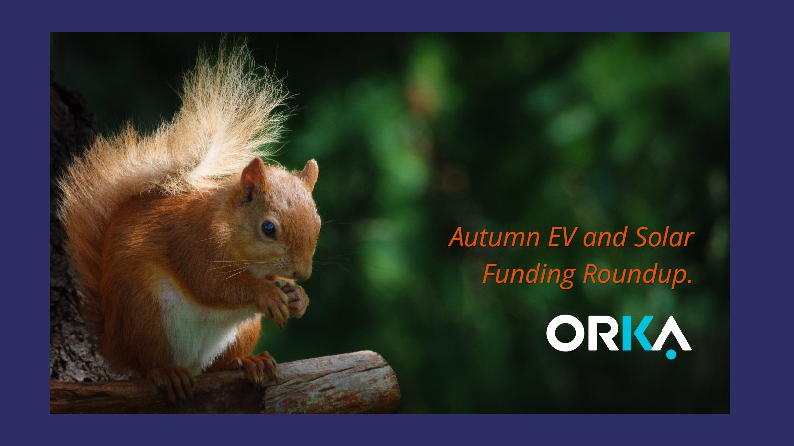 Grants helping Scotland’s communities and businesses power the shift to net zero