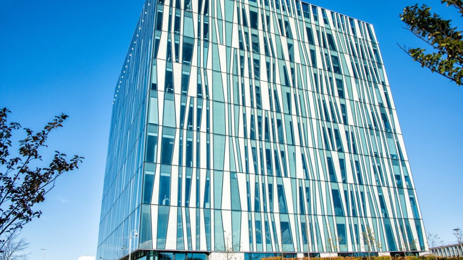 University launches new course to inspire budding entrepreneurs