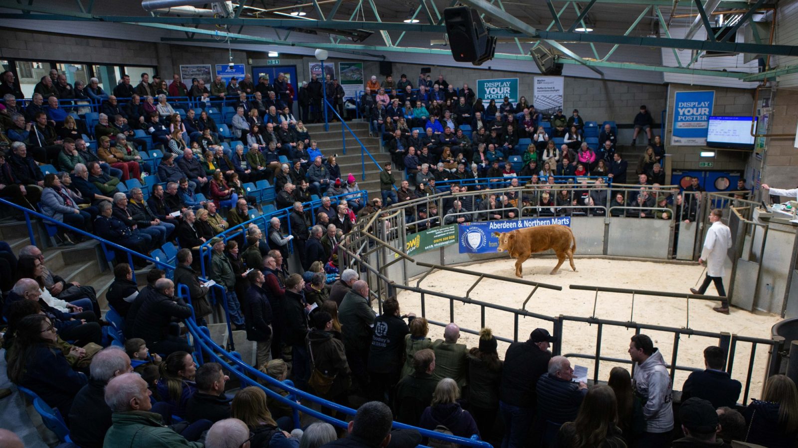Strong entries across the board for upcoming RNAS Spring Show