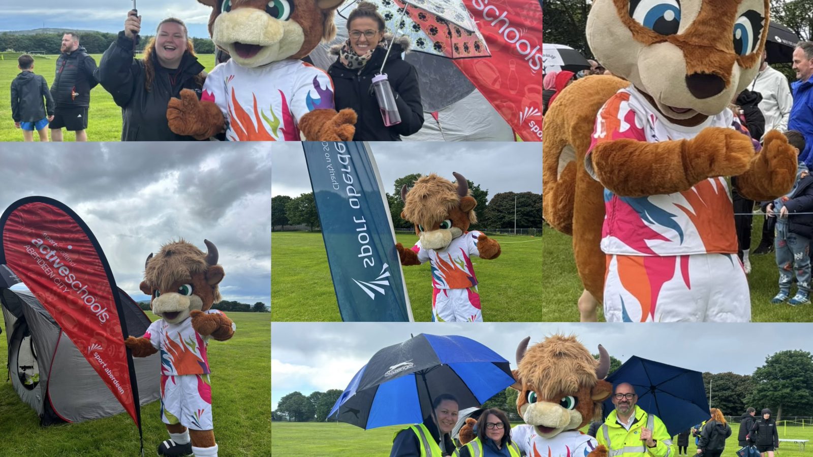 Community partnership supports hundreds of young people at Champion of Champions event