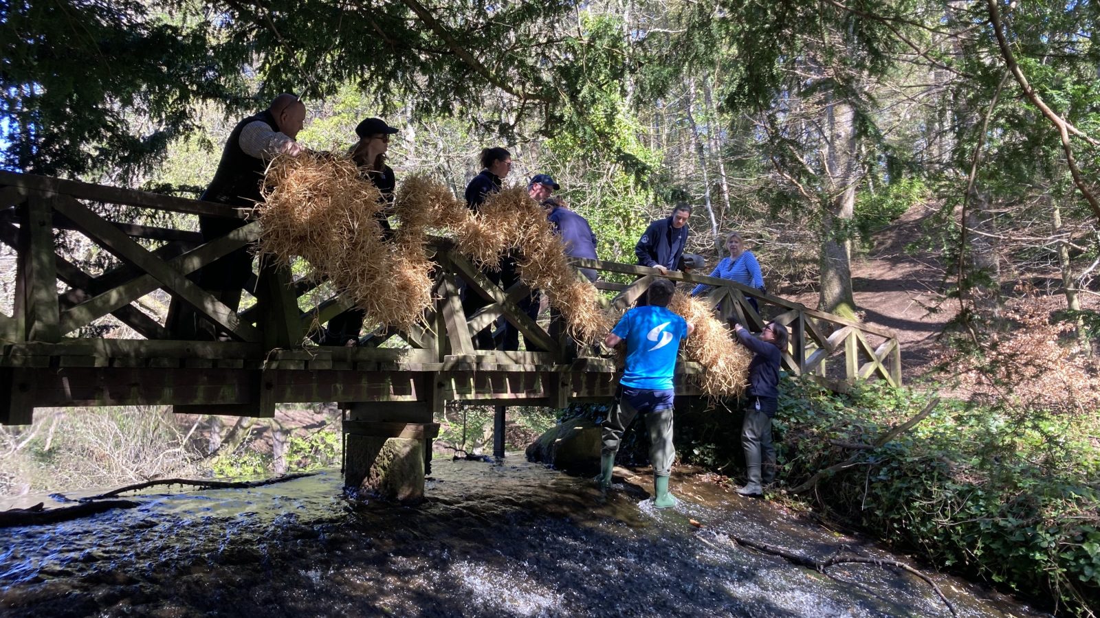 River Dee guardians Serica Energy support European eel conservation