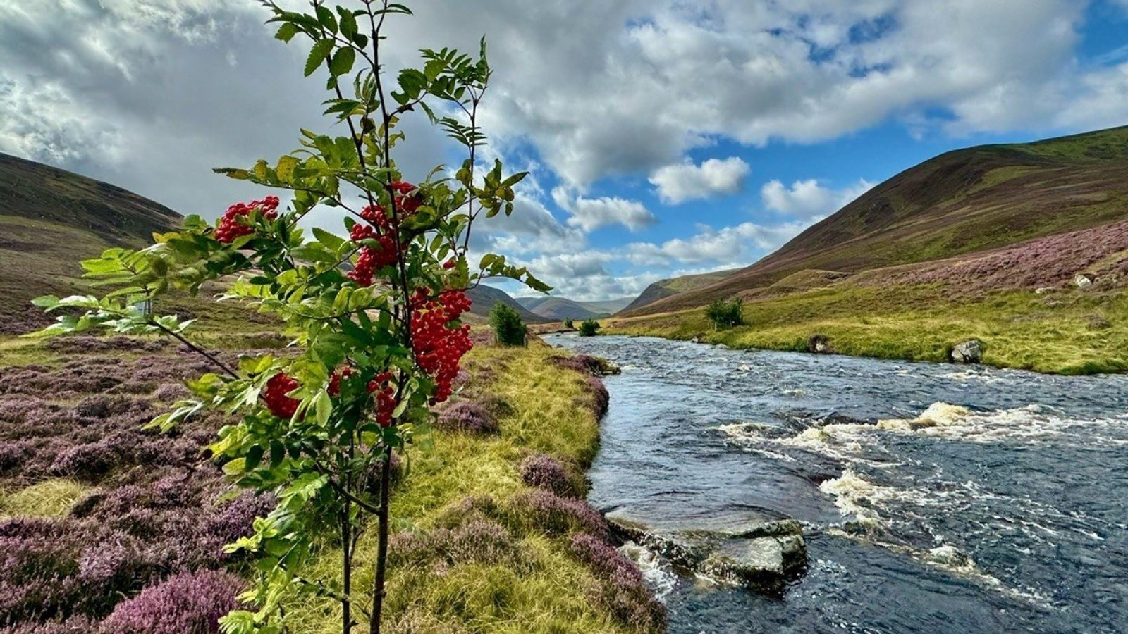 A tree for every key: Northwood North East’s pledge to donate to River Dee’s One Million Trees campaign