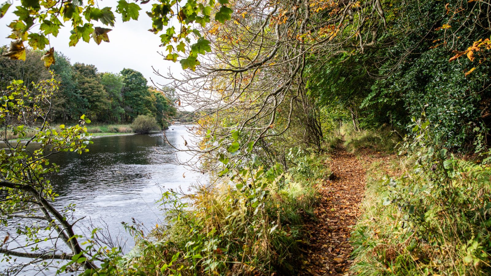 RGU rises in national sustainability rankings