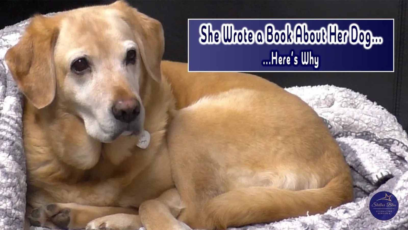 Aberdeen accountant and author Sara Smith shares story behind 'Ruby The Loveable Labrador'