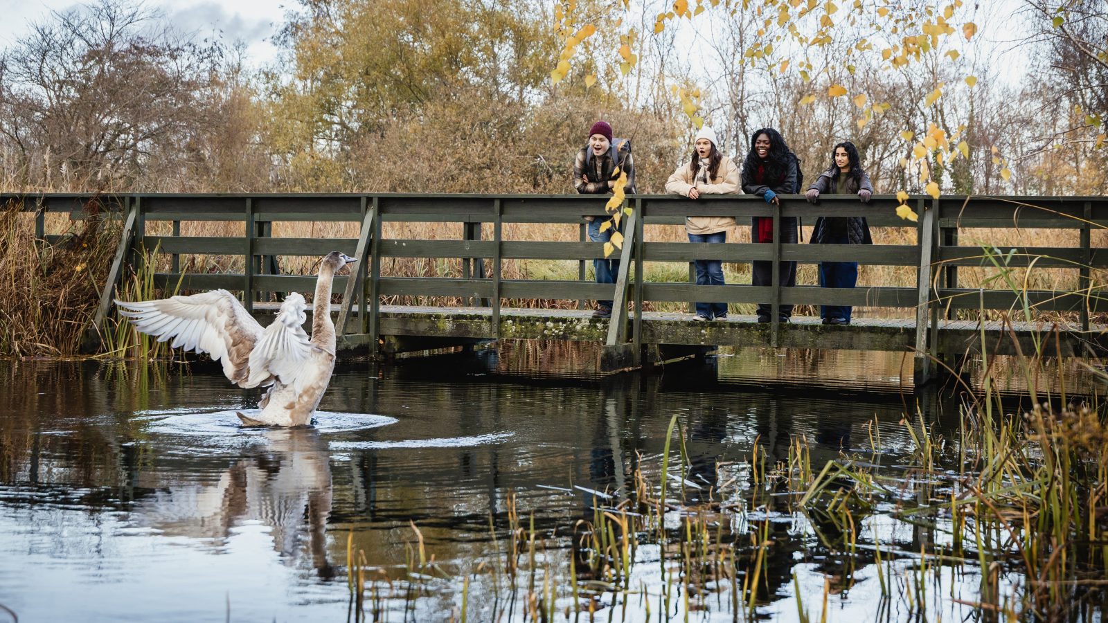 Elior UK appointed catering partner to WWT London Wetland Centre in five-year partnership supporting conservation and visitor experience