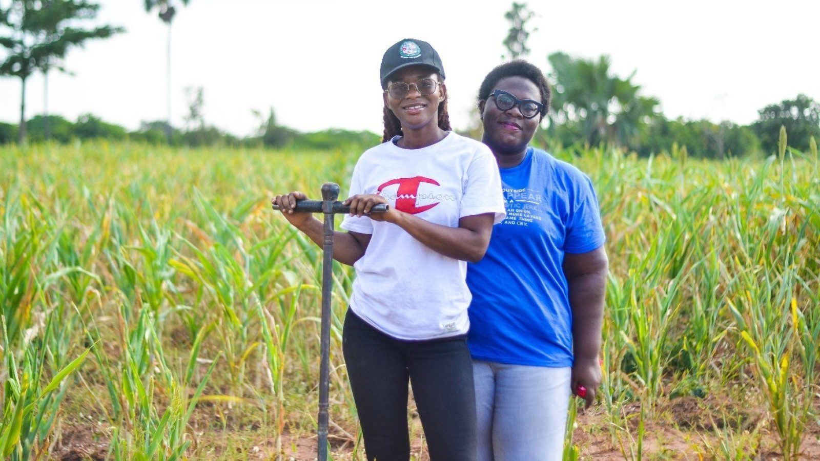 New international network launched to transform environmental monitoring and climate smart farming across Africa