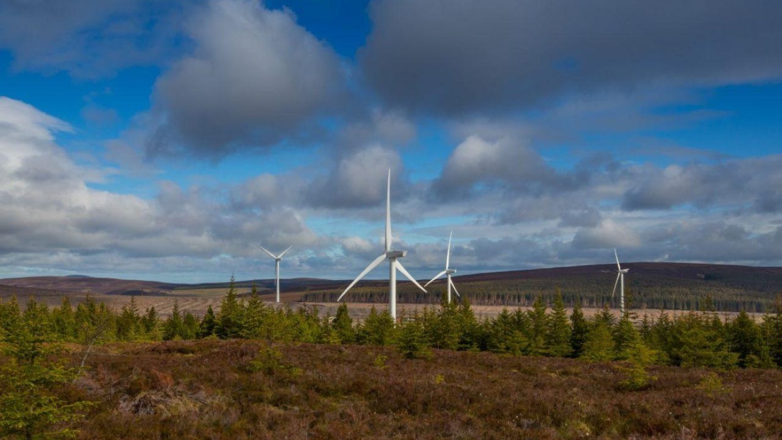 63 MW Scottish wind farm to use low-emission steel in UK onshore first