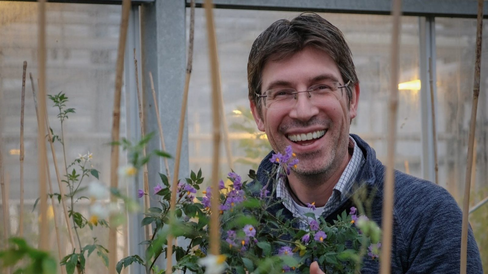 Professor Ingo Hein announced as Deputy Director of the National Potato Innovation Centre