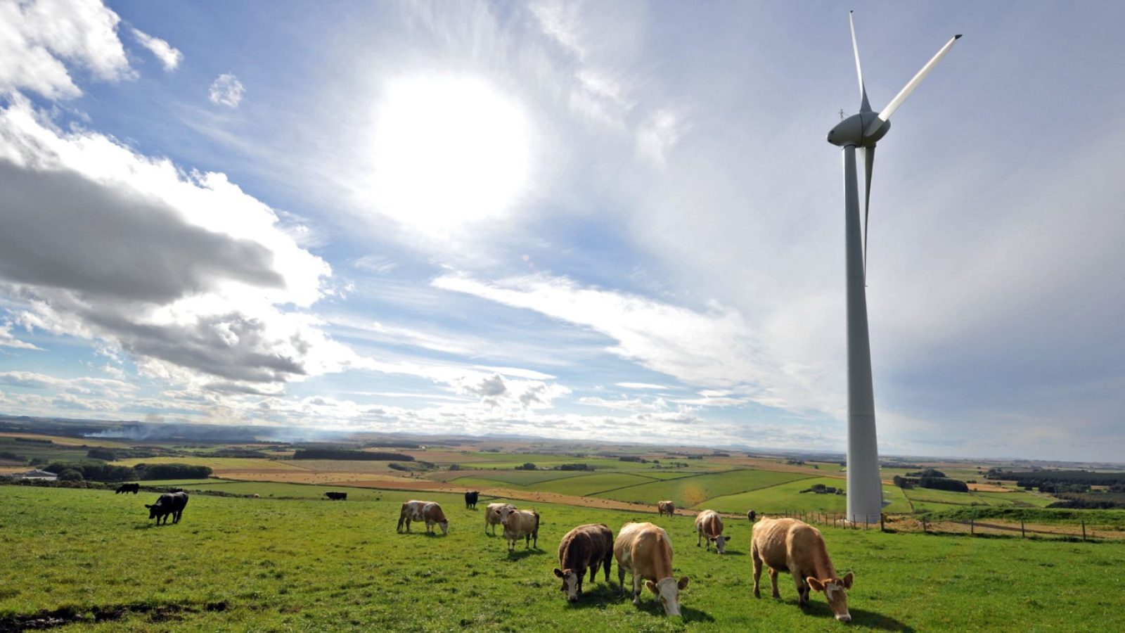 The James Hutton Institute cuts emissions by over one-third in five years